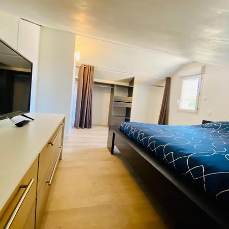 トゥールーズT3 En Duplex Pour 6 Pers Bien Place Terrasse Et Parking Inclusアパートメント エクステリア 写真